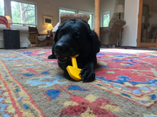 ID Shovel  Ultra Durable Nylon Dog Chew Toy for Aggressive Chewers - Yellow