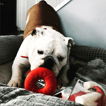 SP Life Ring Durable Rubber Chew Toy & Treat Dispenser - Large - Red