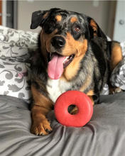 SP Life Ring Durable Rubber Chew Toy & Treat Dispenser - Large - Red