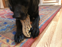 SP Peanut Ultra Durable Nylon Dog Chew Toy for Aggressive Chewers - Brown