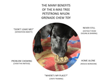 SP Peanut Ultra Durable Nylon Dog Chew Toy for Aggressive Chewers - Brown