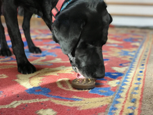 SP Peanut Ultra Durable Nylon Dog Chew Toy for Aggressive Chewers - Brown