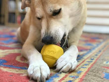 ID Cap Nut Ultra-Durable Rubber Chew Toy and Treat Dispenser - Blue - Large