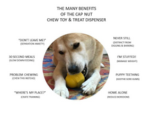 ID Cap Nut Ultra-Durable Rubber Chew Toy and Treat Dispenser - Blue - Large