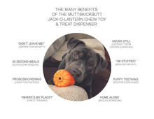 MKB Jack O' Lantern Durable Rubber Chew Toy & Treat Dispenser - Large - Orange