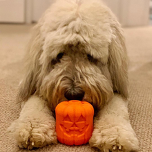 MKB Jack O' Lantern Durable Rubber Chew Toy & Treat Dispenser - Large - Orange
