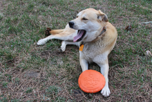 SP Bottle Top Flyer Durable Rubber Retrieving Frisbee - Orange Squeeze