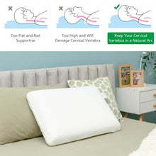 Memory Foam Bed Pillow with Zippered Washable Pillowcase