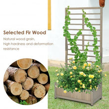 Raised Garden Bed with Trellis for Climbing Plants