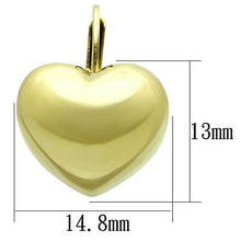 TK1128 - Stainless Steel Earrings IP Gold(Ion Plating) Women No Stone No Stone