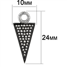 TK3485 - Two-Tone IP Black (Ion Plating) Stainless Steel Earrings with Top Grade Crystal  in Clear