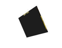 My Crazy Uncle Art on Canvas