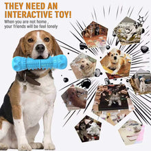Dog Chew Toy