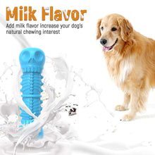 Dog Chew Toy