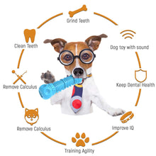 Dog Chew Toy