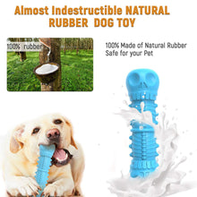 Dog Chew Toy